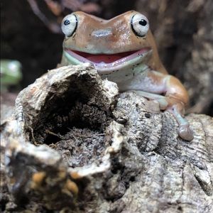 Meet your Posher, Andrew